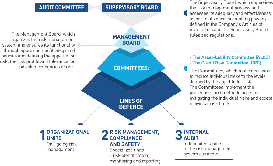 Organizational structure of risk management system